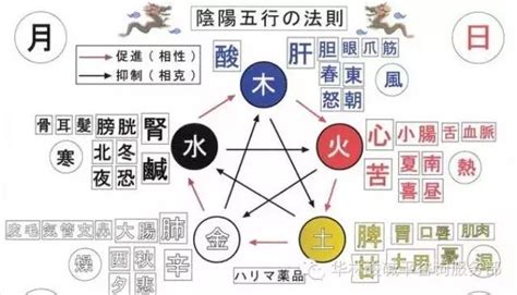 五行味道|“五味”的自然属性及与“五行”的关系，奉送常用中药300种精美图谱